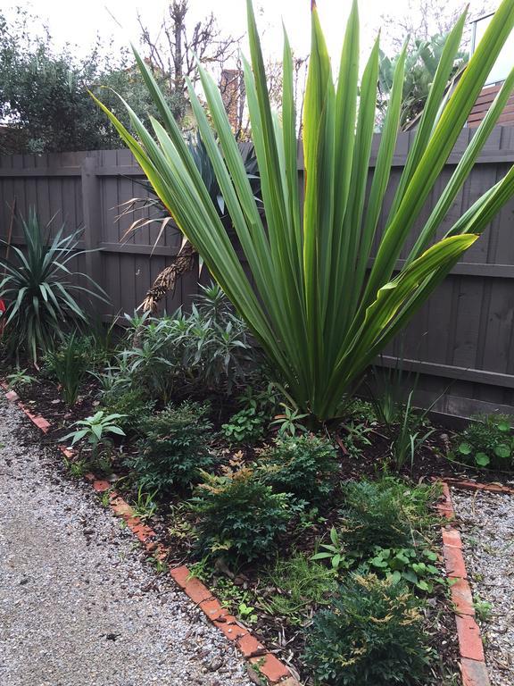 Garden Cottage St Kilda Μελβούρνη Εξωτερικό φωτογραφία